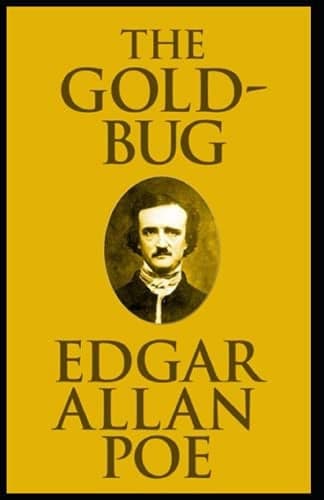 Cover of The gold-bug