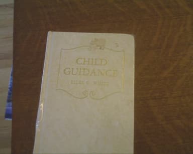 Cover of Child Guidance