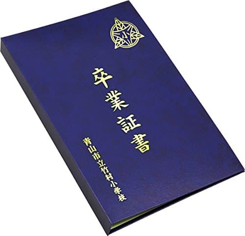 Cover of Flash X Wow! Book