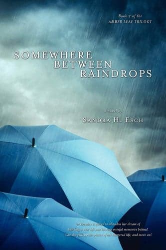 Cover of Somewhere Between Raindrops