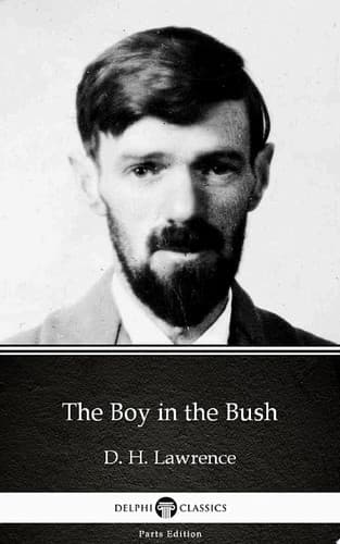 Cover of The boy in the bush
