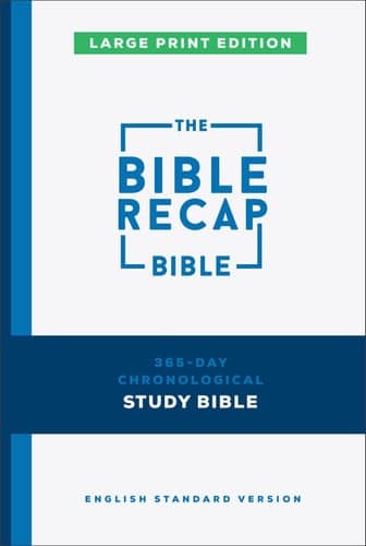Cover of The Bible Recap 365-Day Chronological Study Bible, Large Print