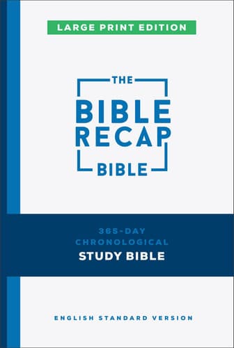 Cover of The Bible Recap 365-Day Chronological Study Bible, Large Print