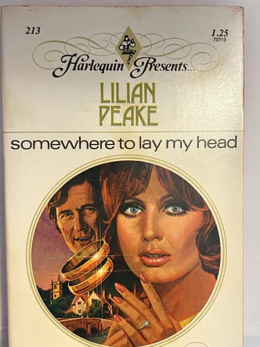 Cover of Somewhere to Lay My