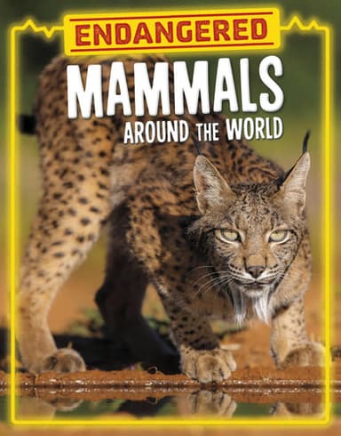 Cover of Endangered Mammals Around the World