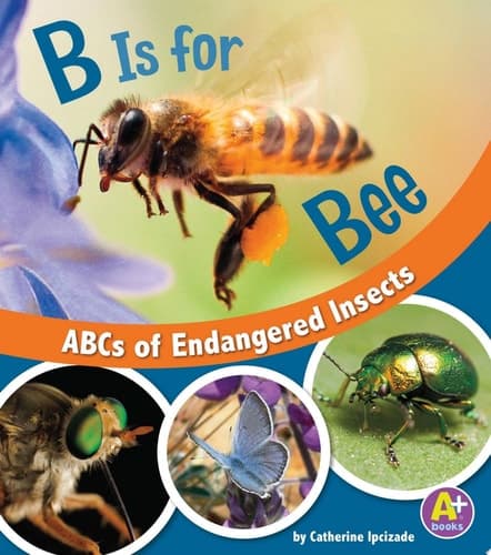 Cover of B Is for Bees