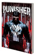 Cover of Punisher Vol. 1