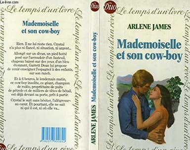Cover of Mademoiselle et son cow-boy