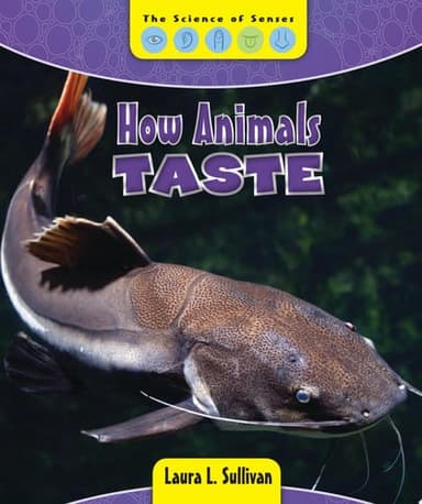 Cover of How Animals Taste