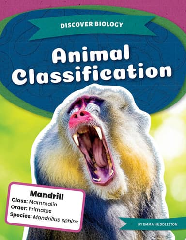 Cover of Animal Classification