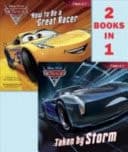 Cover of Taken by Storm