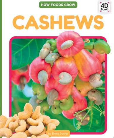 Cover of Cashews