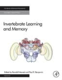 Cover of Invertebrate Learning and Memory