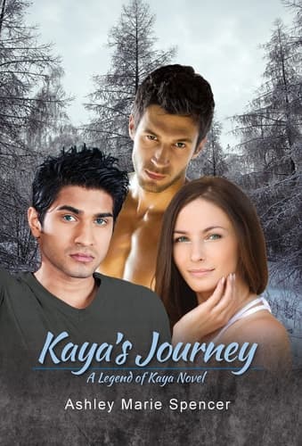 Cover of Kaya's Journey