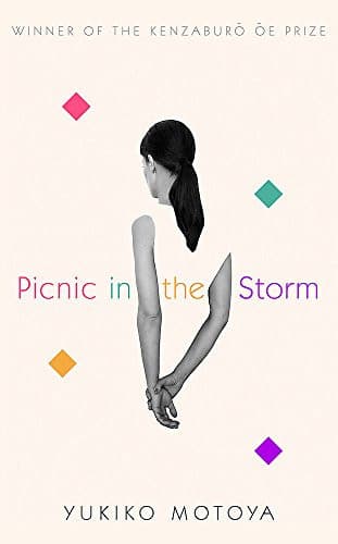 Cover of Picnic in the Storm