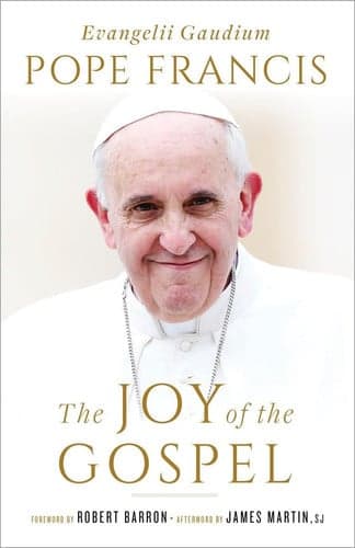 Cover of The Joy of the Gospel: Evangelii Gaudium