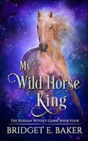 Cover of My Wild Horse King