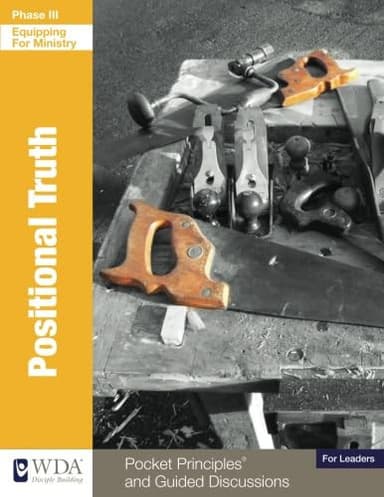 Cover of Positional Truth
