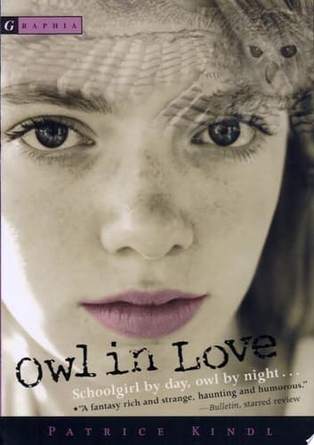 Cover of Owl in Love
