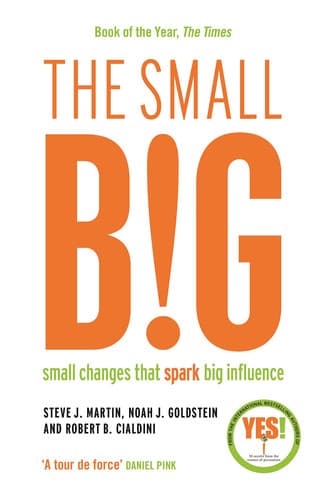 Cover of Small BIG