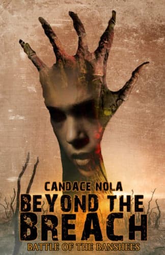 Cover of Beyond the Breach