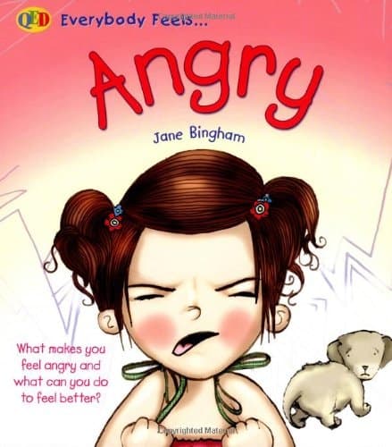 Cover of Angry Everybody Feels ...