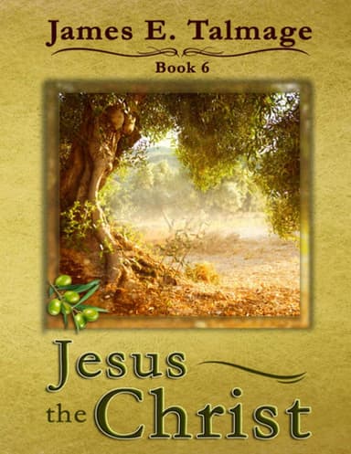 Cover of Jesus the Christ - Large Print