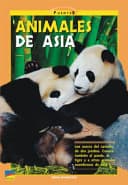 Cover of Puentes