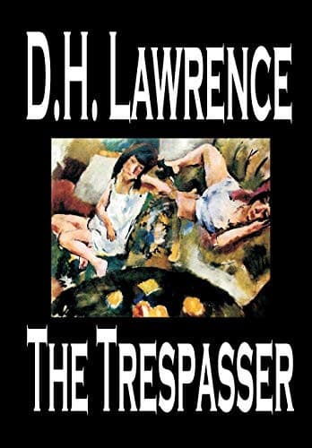 Cover of The trespasser