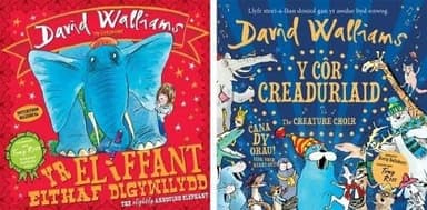 Cover of Pecyn David Walliams I Blant Iau