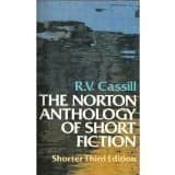 Cover of The Norton anthology of short fiction