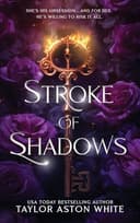 Cover of Stroke of Shadows Special Edition