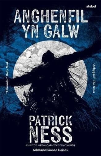 Cover of Darllen Yn Well