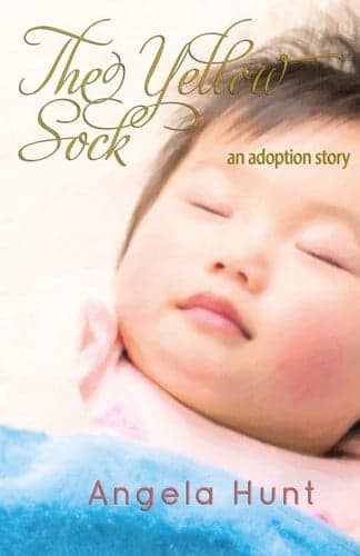 Cover of The Yellow Sock