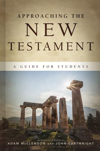 Cover of Approaching the New Testament