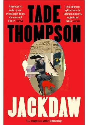 Cover of Jackdaw