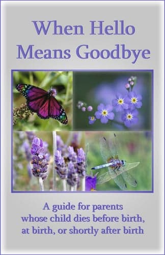 Cover of When hello means goodbye