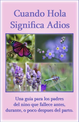 Cover of Cuando hola significa adios