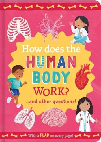 Cover of How Does the Human Body Work?
