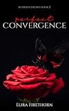 Cover of Perfect Convergence