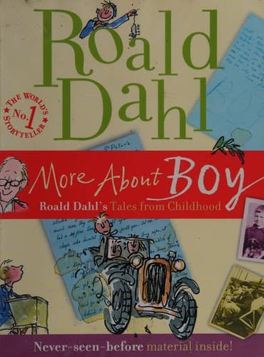 Cover of More About Boy