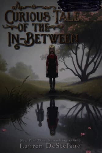 Cover of Curious Tale of the In-Between