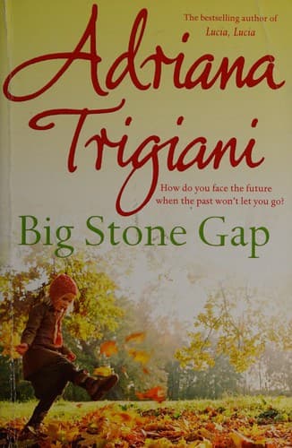 Cover of Big Stone Gap