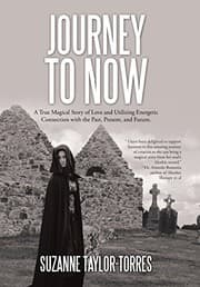 Cover of Journey to Now