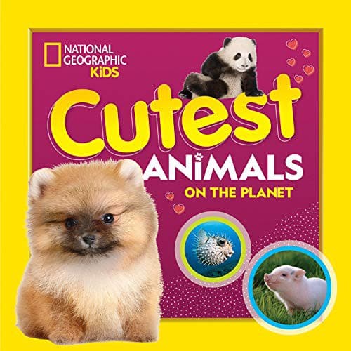 Cover of Cutest Animals on the Planet