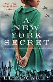 Cover of A New York Secret