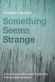 Cover of Something Seems Strange