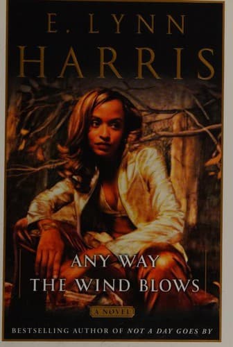 Cover of Any Way the Wind Blows