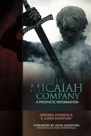 Cover of The Micaiah Company