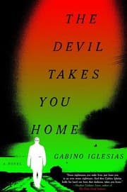 Cover of The Devil Takes You Home